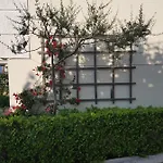 Schinas Apts. Lejlighed