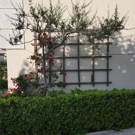 Schinas Apts. Apartment
