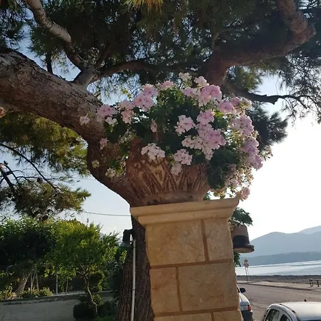 Schinas Apts. Διαμέρισμα